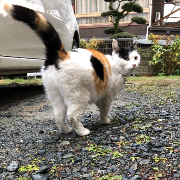 92e11daa 263e 4021 af54 305f8fd22902 1609307455519