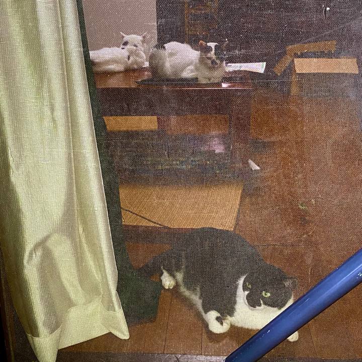 92e131e4 5c91 404f a51e 11fd1651153a 1661135635843