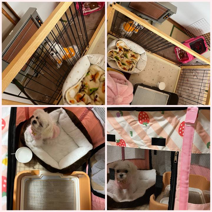 92e134f3 da74 46ac b32e 32755e7110ce 1708067245733