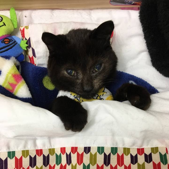 92e1441c 0b0e 42e3 a48c 139527937412 1511696216368