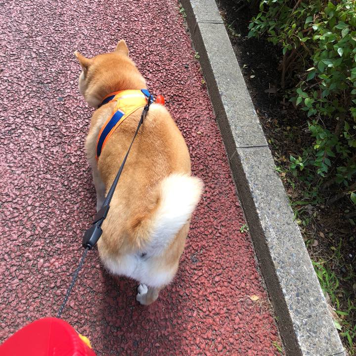 92e1913b 19f0 46d8 ae53 181a9aa2101a 1560087399132