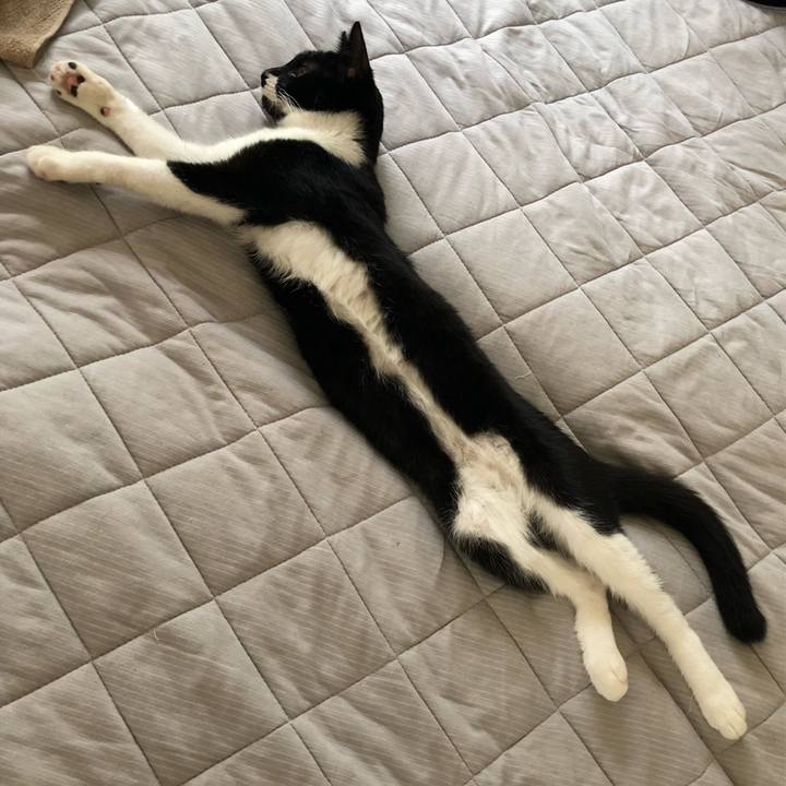 92e19248 bb49 4c63 9e92 98bc2c68ebe8 1536783997468