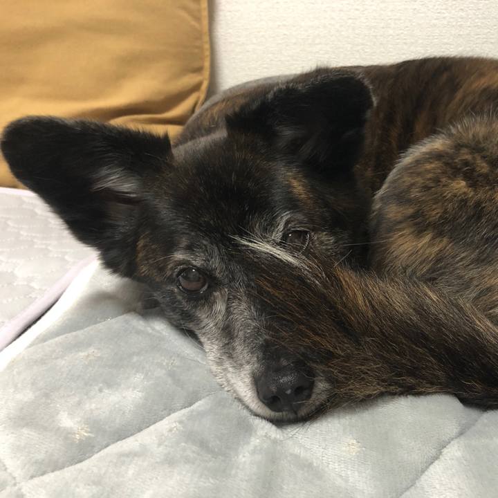 92e1bf74 8e5f 46f6 a119 37e97e55ac48 1682769816603