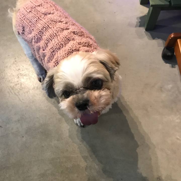 92e1d8f9 b4ea 404a 8a4a 467ad9de1520 1518607585009