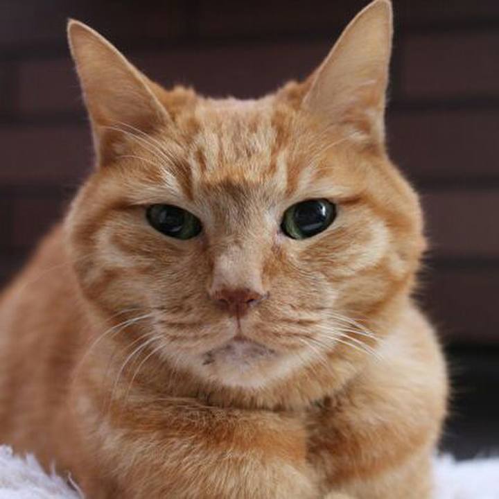 92e1eaa5 cf8b 406d a7d1 618727cf544a 1511755354988