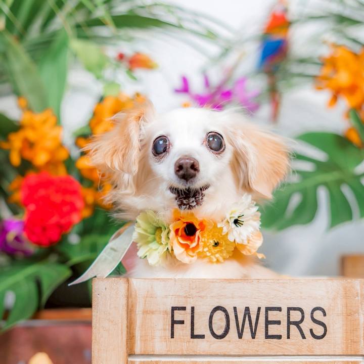 92e243b1 dbb9 4684 8424 5e867ff60fbc 1757129045892