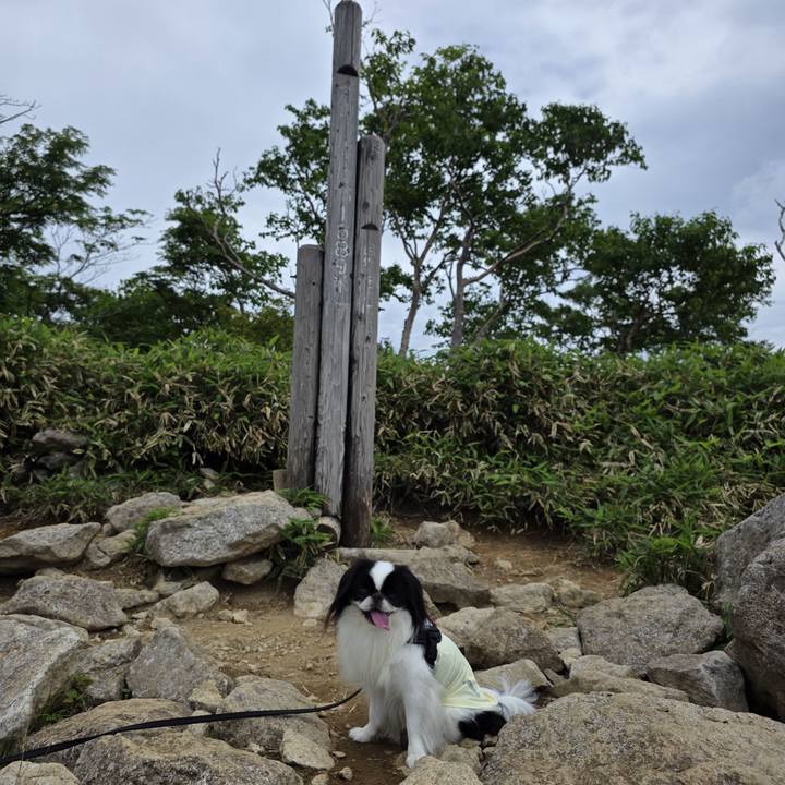 92e246f9 731b 4a46 a5ab cdde721dd8bc 1751344924655