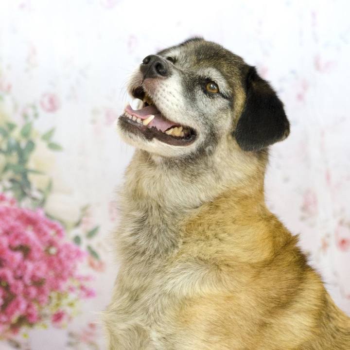 92e251a6 2135 4cf8 b45e 79bb75f4eff7 1576372196427