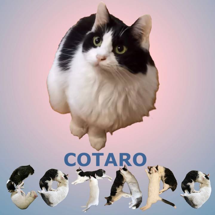 92e2904e f583 4962 94c6 8941b6884c37 1668513782937