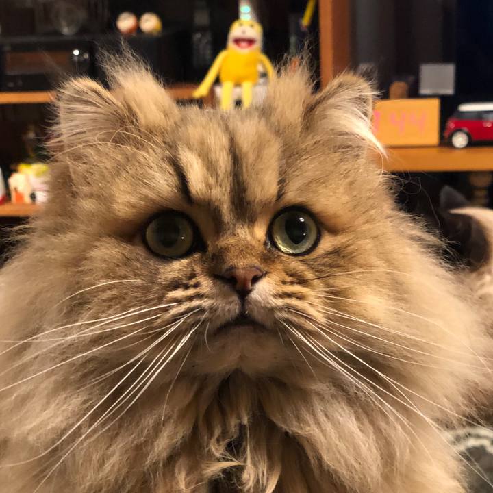 92e29a28 ad90 4167 bfbb 2d83a6f0fccd 1610797059155