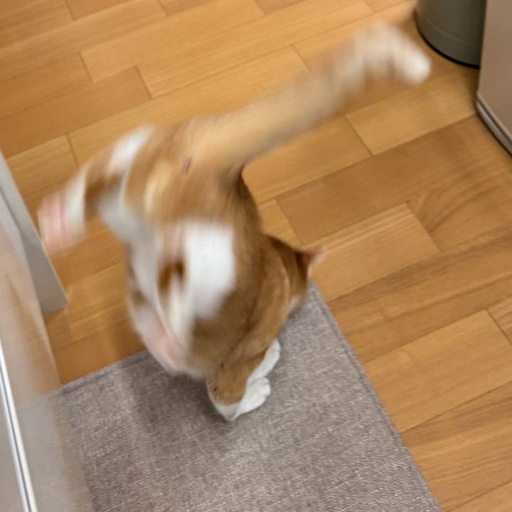 92e2a6b6 3c47 4598 a86e b60c950c0a6b 1761358179384