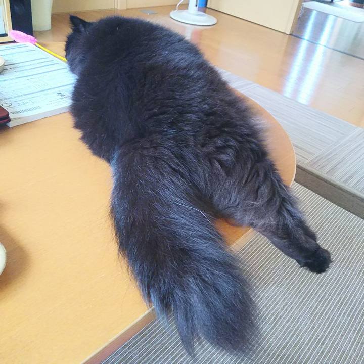 92e2ebf7 56ca 40a8 b452 febe0dae2280 1532823833050