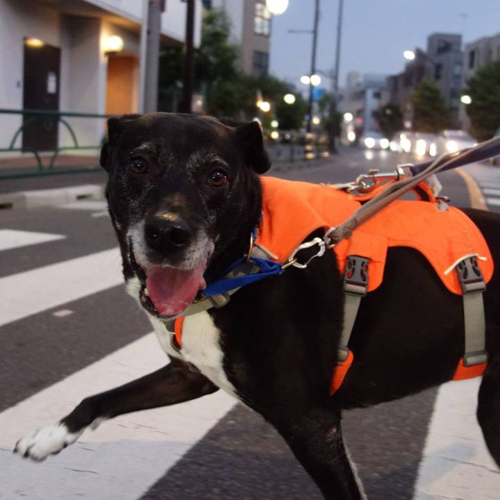 92e323d9 347c 4464 aa0a 4a7399c9f78b 1751365229957