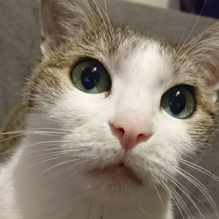 92e33a69 bac1 421b be40 76cd7c25f10a 1624451369195