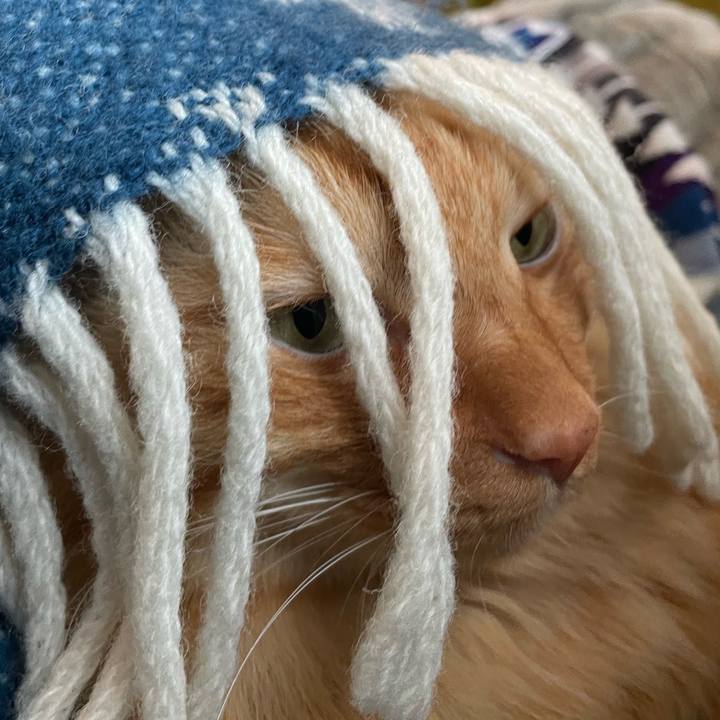 92e34792 12a1 46a3 a364 f1985b8fb2f9 1764213071140