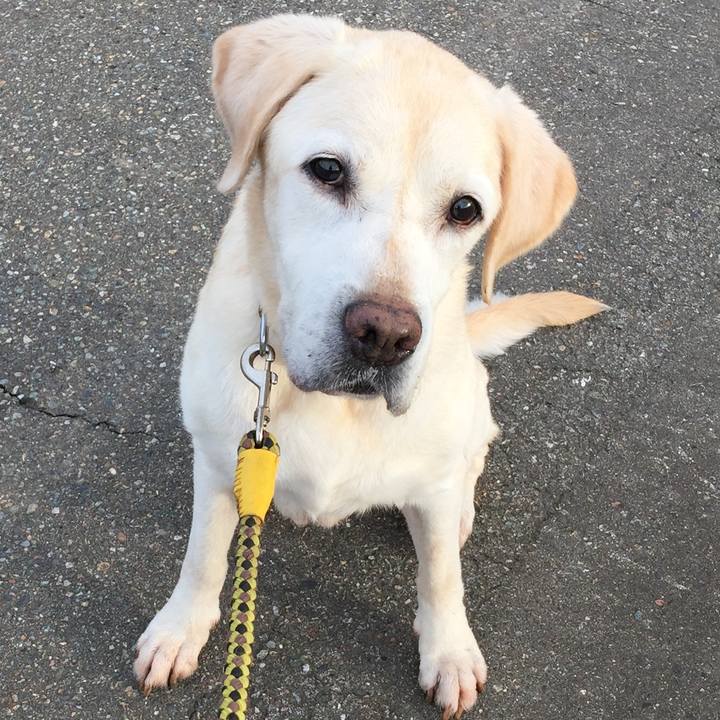 92e3556b 7363 4fb1 b0b5 d36ad1fa178b 1538229183283