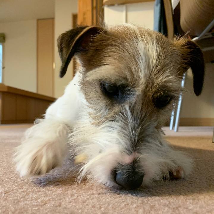 92e3875f 2285 4689 b169 d499a8b0414c 1579671164916