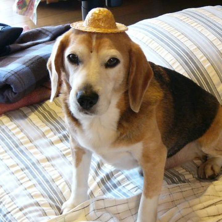 92e39e2d 3be2 4b89 94e0 e0bac25c0133 1645752805569