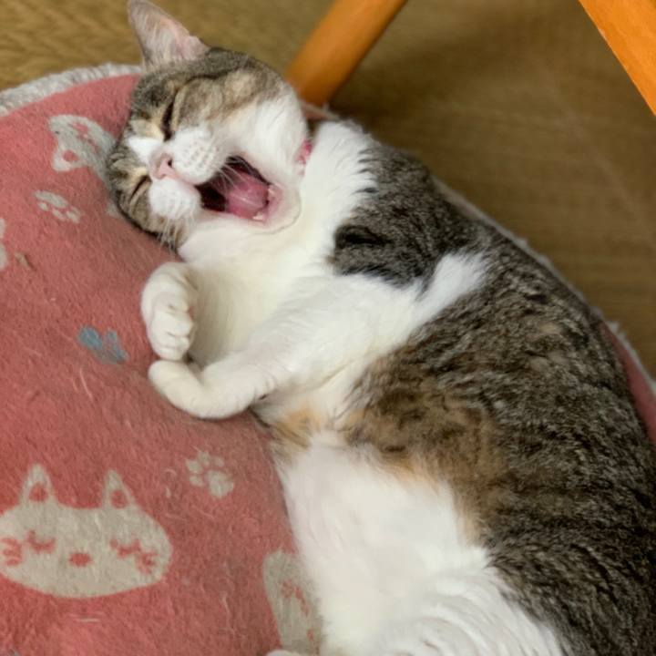 92e3c6b5 ea96 44bd a6e8 511781337bdc 1628574341109