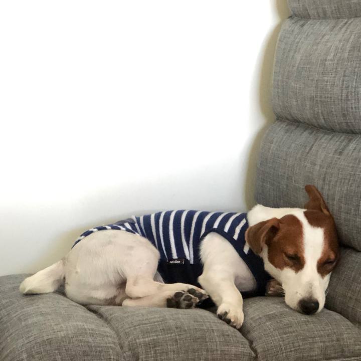 92e3e7ae 4e36 4709 a18c d7f602889df8 1568972600995