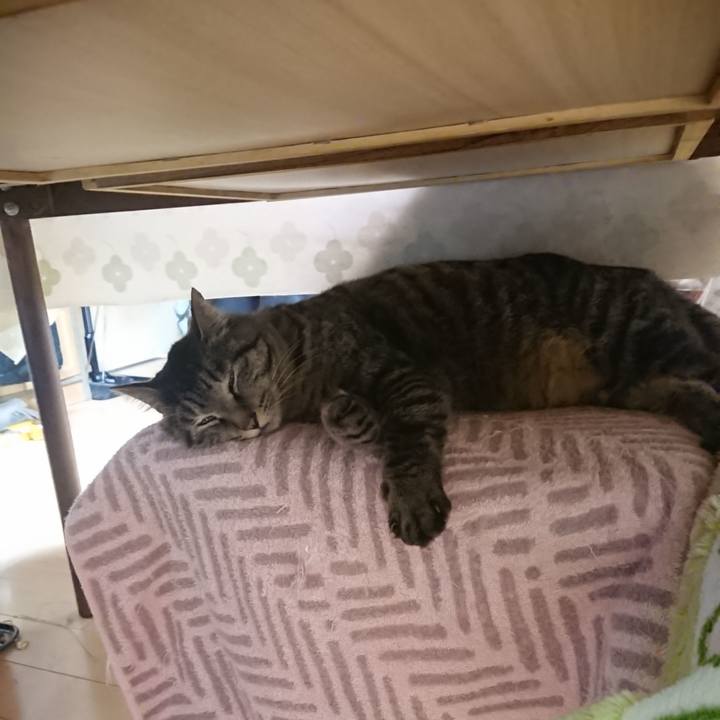 92e44814 cb11 4e59 a1ce dca6dc70538b 1647515085079