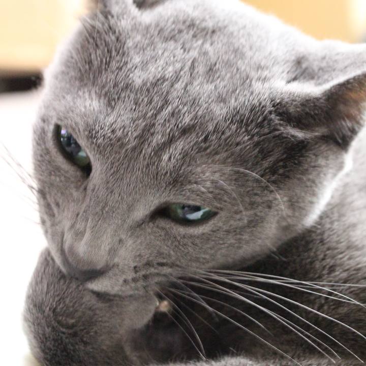 92e4777c b26f 43c4 bd2f 993c4e060506 1555201672713