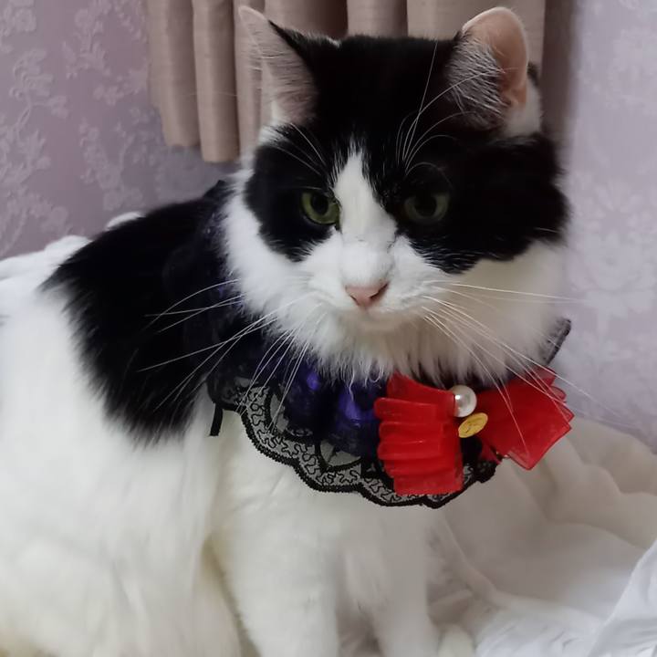 92e4c62f 4206 4acc 9583 8adb983b0779 1635676658323