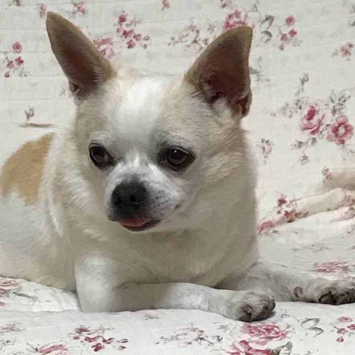 92e4ee1d 9e23 441e a3f8 2d8de620fbbc 1539694998412