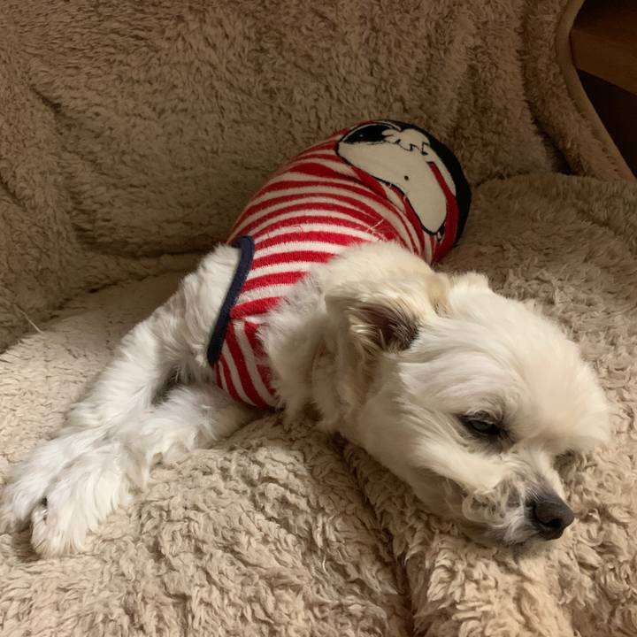 92e4f706 a115 4e31 9f32 d80c3751310f 1614860559948