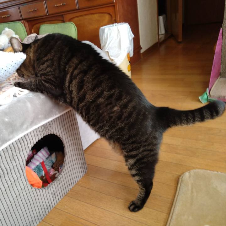 92e51bdc 5f32 4be6 882d 1d71c55362de 1764462869669