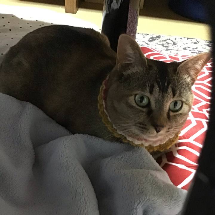 92e5734f 8db9 41a5 bbbe 2afc9317a6b1 1622721152790