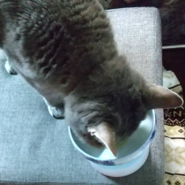 92e5a6ec 6fb3 4688 aeea 5adb0b4dda5e 1675329274028