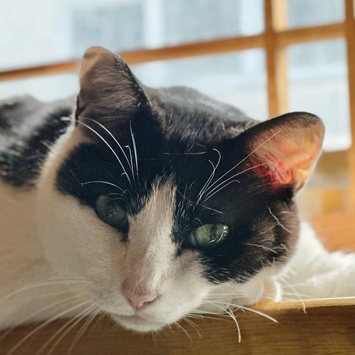 92e5cdb0 f795 4127 b57b a13022b6e0c1 1719624220353