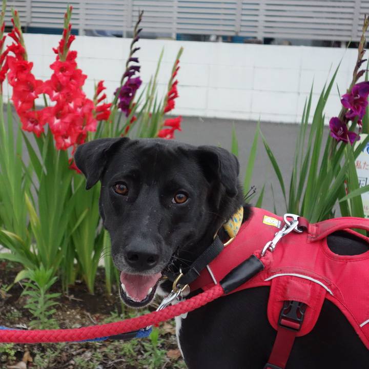 92e5e385 8541 4e01 892d 62d8dd40ff60 1592734437841