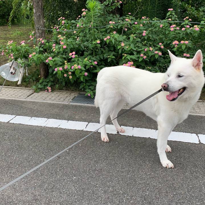 92e60747 0709 4424 ba92 3dd653e84188 1563669166498