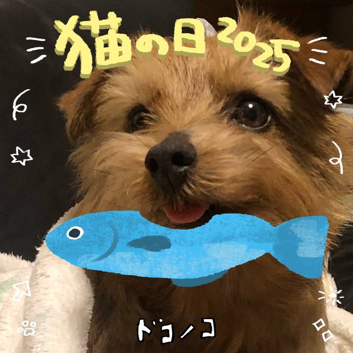 92e62d3d ee0f 45dd 82bf 21f9b9e64444 1740136021630