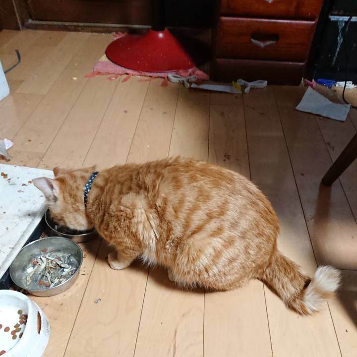 92e6671c 70f0 41f9 9cb3 8b7a349ea336 1642020843028