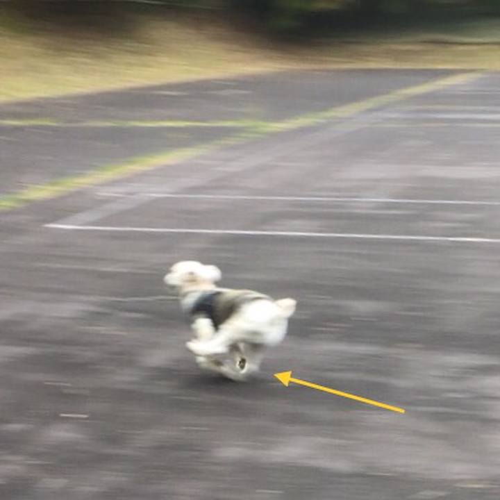 92e69c85 dd48 4b0e 8424 3d9d27dfeec4 1510313947815