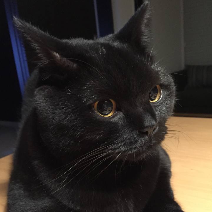 92e6a1c3 3ff4 4dfc 91e9 91b9cd40b211 1511002531162