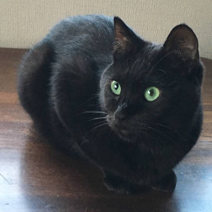 92e6a326 fe86 4957 9090 5c7d62887683 1533719686341