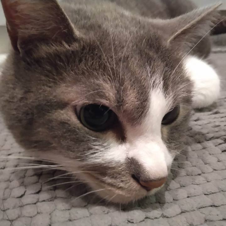 92e6a878 124c 4d84 a799 2c26a319ca8f 1683639066493