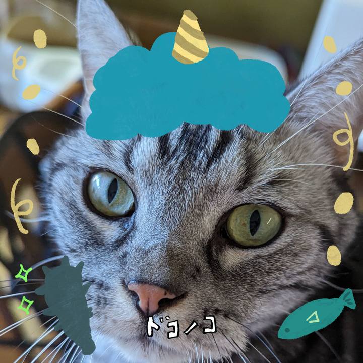 92e6c62c 79f6 41f2 adcd d3b14646b537 1706948743128