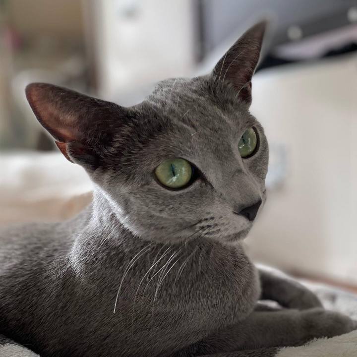 92e6d3b2 52c8 4a26 8dd5 968d8b4356cd 1638580230790