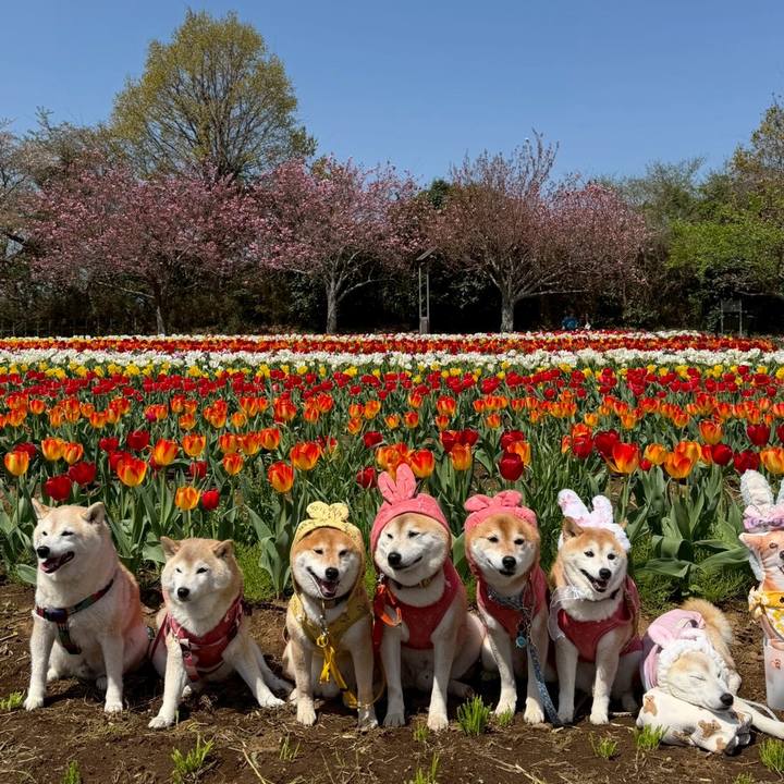 92e74892 bfab 4e10 b4c3 b8005444cd9c 1776010526236