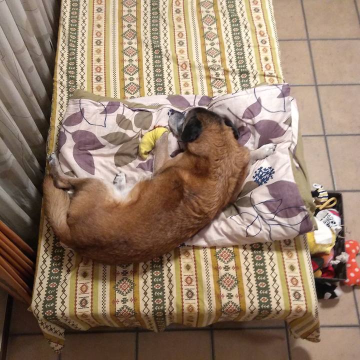 92e79858 70ba 46dd bfd9 a5cd652c0173 1547165031458