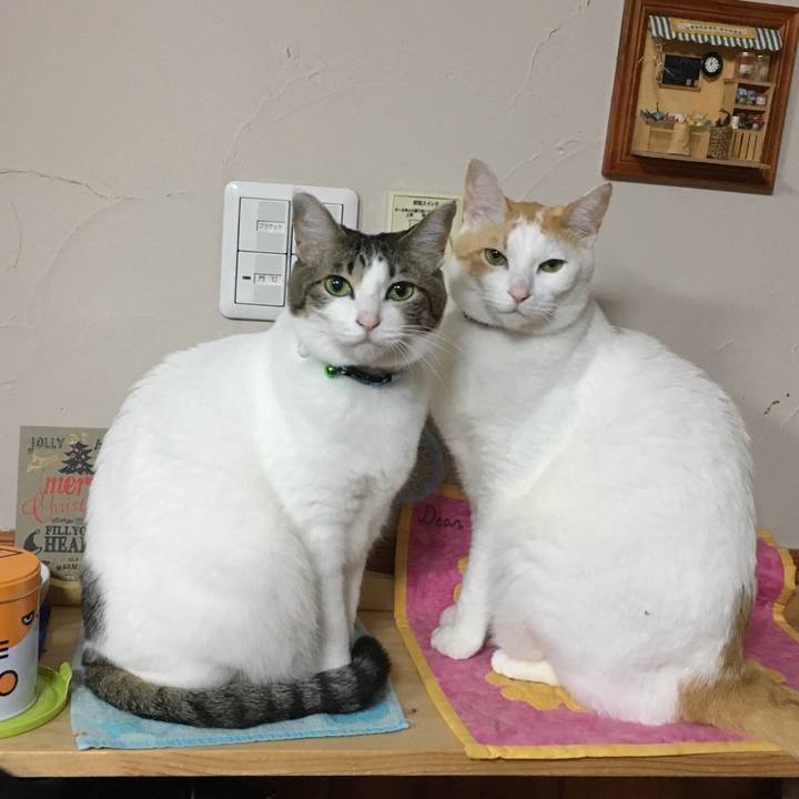 92e7c852 ea95 49cb afbf b564451d1dec 1519049501021