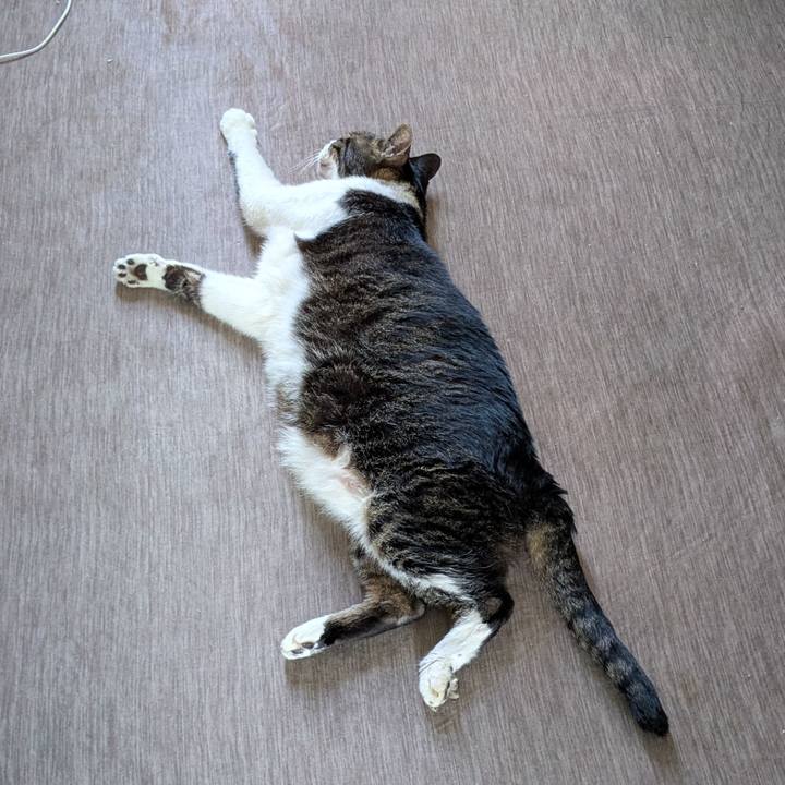 92e7f234 88e0 4be5 b14d 9f9737820ecd 1754621543553