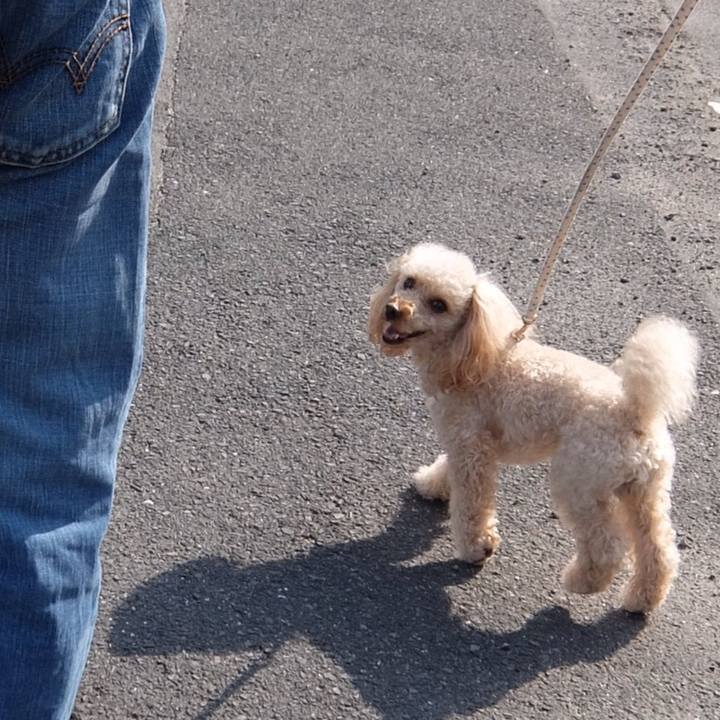 92e82044 330b 4b05 928a 9ce0cc41e4cb 1557578119256