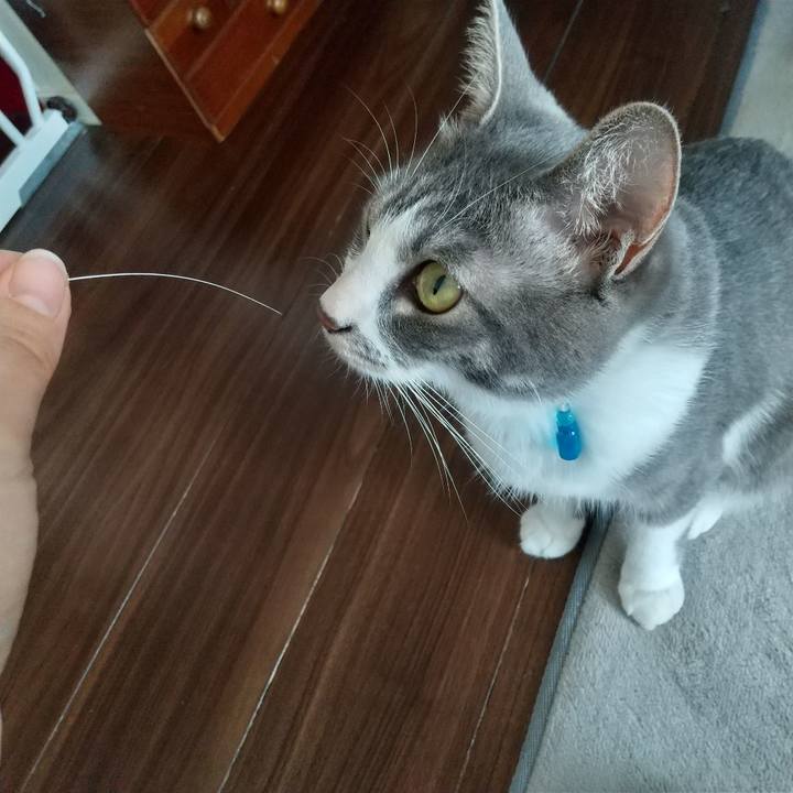 92e82244 1ccd 4114 8d0f f5d540426084 1597380947277