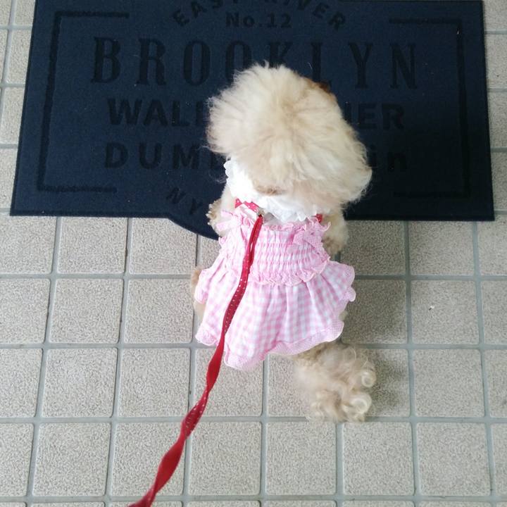 92e8985a 090b 4f79 a2b7 587606cadd57 1559124105695